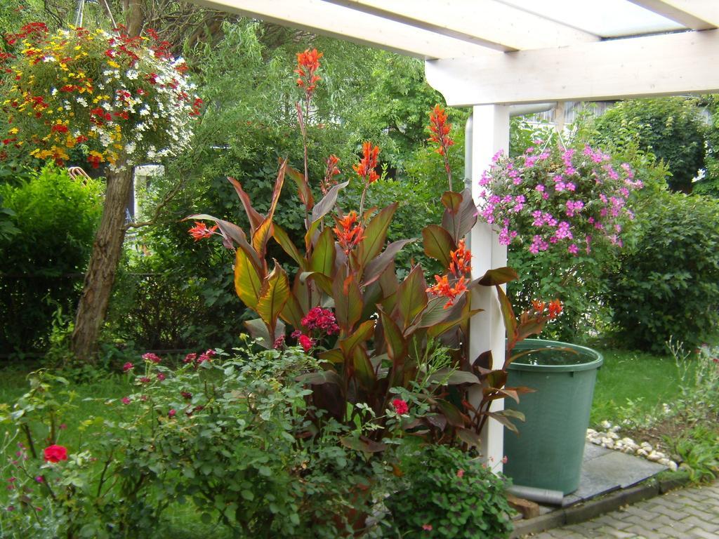 Waldmünchen Daschner Gmbh מראה חיצוני תמונה